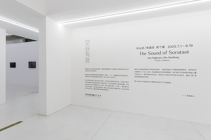 東京画廊＋BTAP推出《空谷有音》：神性营造与自然崇拜