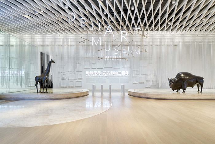 莫奈、毕加索、草间弥生……在德基艺术博物馆，看花卉静物三百年