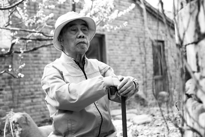 戴泽先生逝世，享年101岁，他是徐悲鸿的弟子，靳尚谊的老师