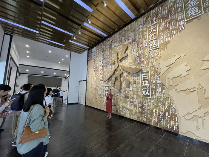 BMW中国文化之旅十七载 溯海丝品茶香一览八闽风情