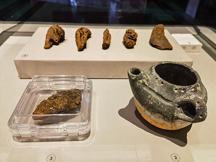 一片中国茶，半部文明史——故宫“茶·世界”特展：一场以茶为媒介的策展叙事