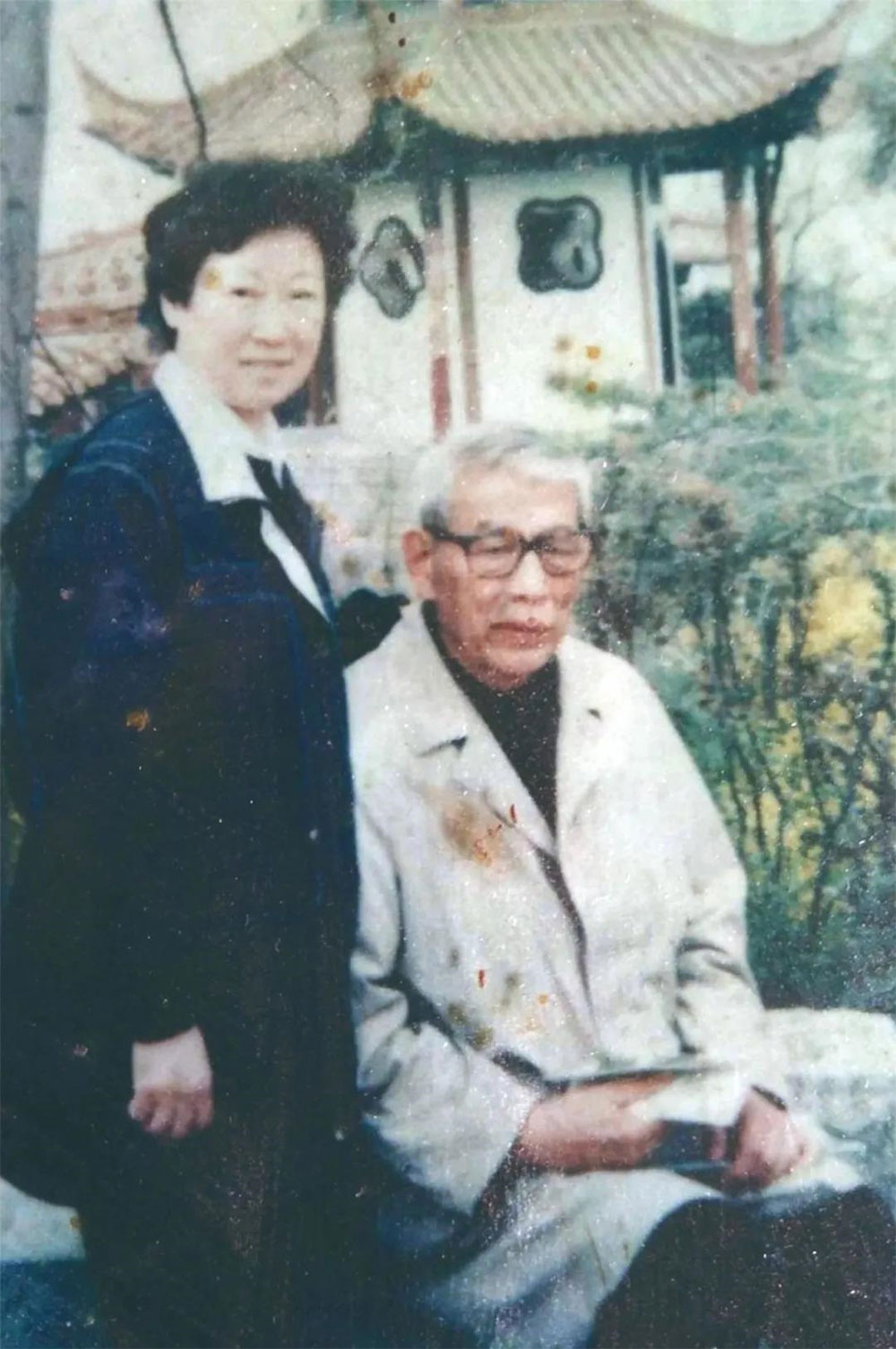 于露：朱德群的漫漫归乡路