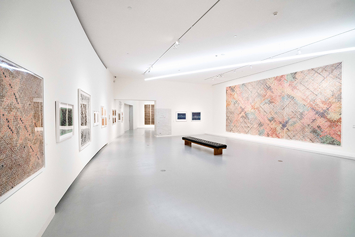 《故乡与旅程——丁乙个展》开幕：“十示”和“星座”交相辉映