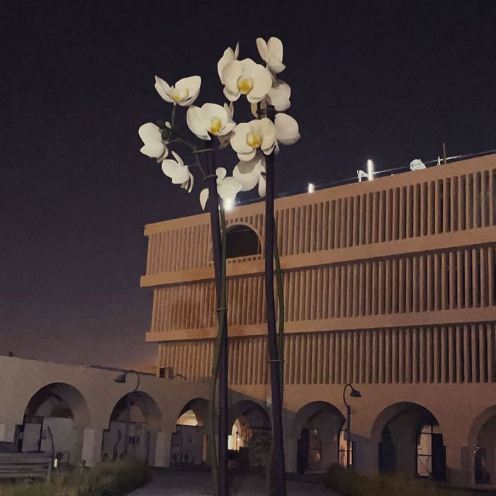 博物馆与公共艺术：分歧竞争还是创新共存？