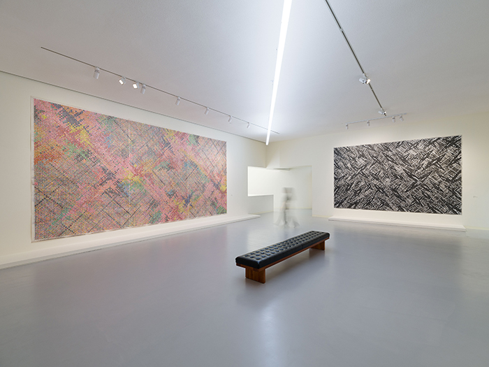 《故乡与旅程——丁乙个展》开幕：“十示”和“星座”交相辉映