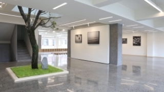 物即是物——唐纯洁个人摄影作品展在拉萨德闅艺术空间开幕