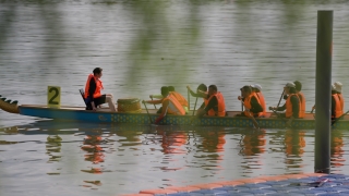 纪念屈原逝世2300周年 170余位国际友人共聚汨罗体验端午文化
