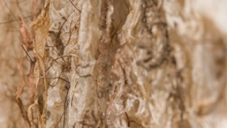 专访石梅：“墟”实之间 时间留痕