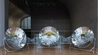 王薇：时间会证明一切的努力与坚守