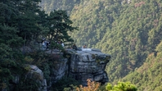 图集｜悠然庐山 诗画九江：36位中外艺术家庐山行回顾