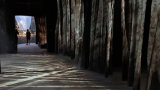 聚焦《永恒的祭献：中国古代青铜礼器》大展（9）：展陈中的动态设计